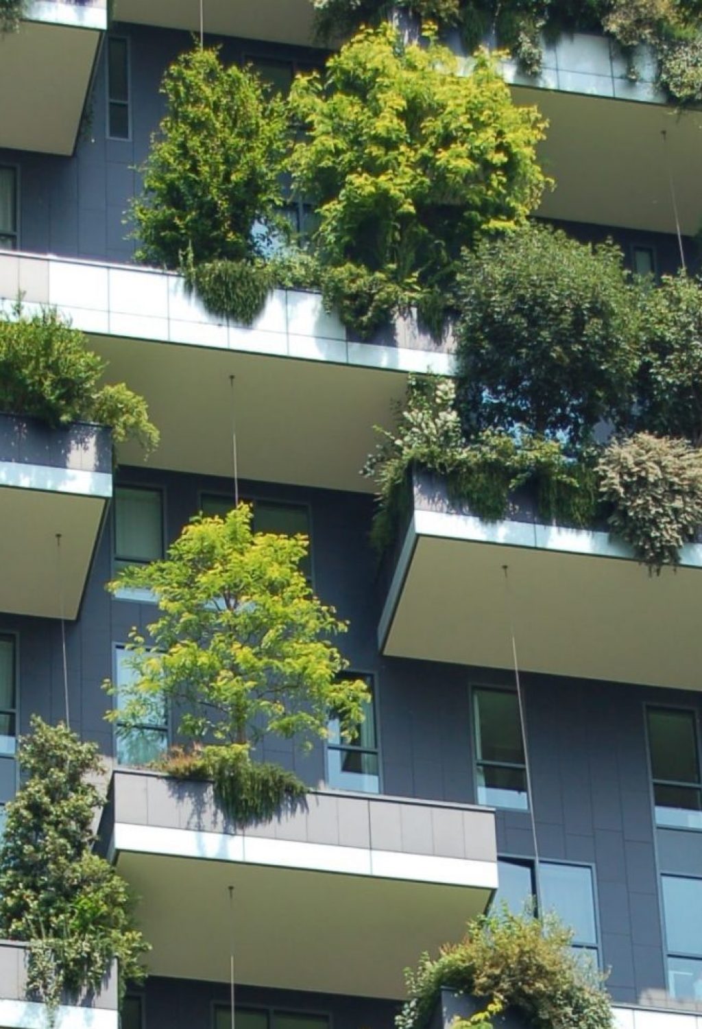 chris-barbalis-dhvtr5fwbHI-unsplash